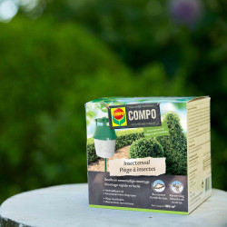 Piège à insectes COMPO – Capture efficace | COMPO

