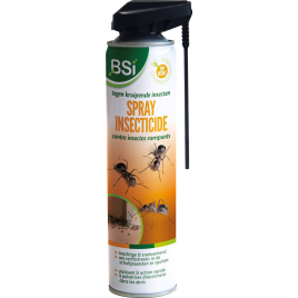 Poudre insecticide Diatosect contre les fourmis et les insectes rampants 0,4 kg BSI