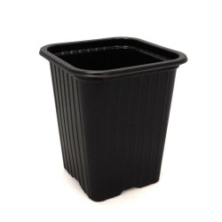 Godet de culture 7x7cm (20p) – Idéal semis | NORTENE