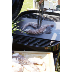 Barbecue au charbon Magnus Premium BARBECOOK