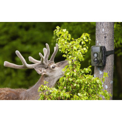 Caméra de surveillance nature TX-160 TECHNAXX Caméra de surveillance nature TX-160 TECHNAXX