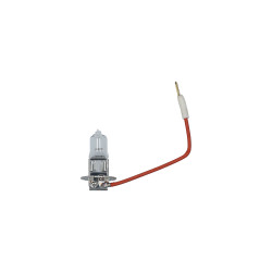 Ampoule H3 12V 55W CARPOINT – Éclairage Premium | CARPOINT