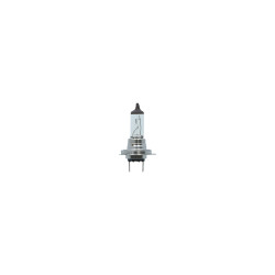 Ampoule H7 Premium 12V 55W – Éclairage Optimal | CARPOINT Ampoule H7 Premium 12V 55W – Éclairage Optimal | CARPOINT