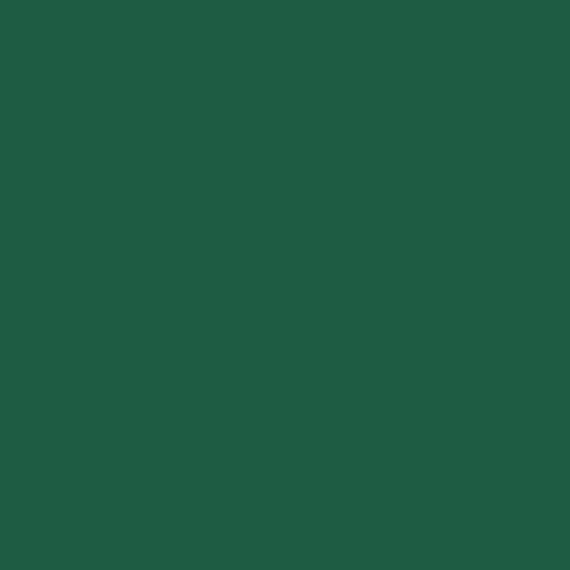 Serviette en tissu Bio 3 plis 24 x 24 cm vert foncé 20 pièces DUNI Serviette en tissu Bio 3 plis 24 x 24 cm vert foncé 20 pièces DUNI