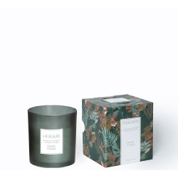 Bougie parfumée Mystic Forest – Ambiance envoûtante | JBY CREATION