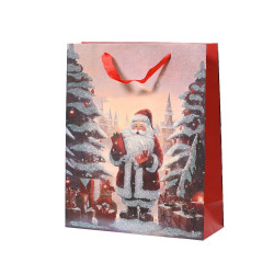 Sac cadeau Noël papier 12x30x42cm – Idéal pour vos présents | DECORIS