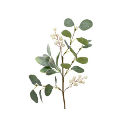 Eucalyptus Blanc 50cm – Déco Naturelle & Festive
