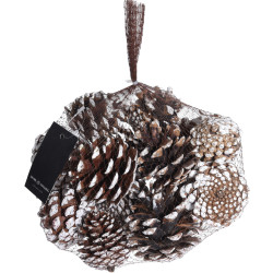 Sachet Pomme de Pin 300g – Déco Naturelle Noël

