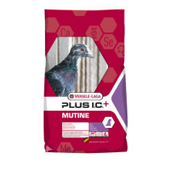 Mélange Mue Pigeon Mutine 20kg - Alimentation Complète | PLUS I.C.+