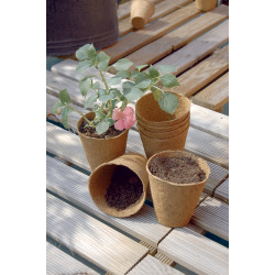 Godet de culture biodégradable Ø 6 cm – Lot de 24 | NORTENE
