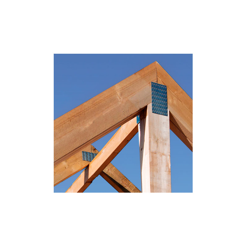 Plaque à pointes en acier 126 x 28 x 10 mm TEKNIFIX