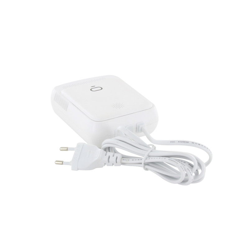 Détecteur de fuite de gaz 5 ans CHACON Détecteur de fuite de gaz 5 ans CHACON