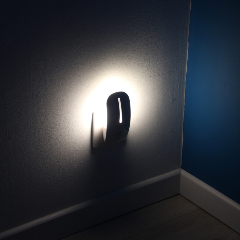 Veilleuse oblongue avec détecteur de mouvement et de crépuscule CHACON