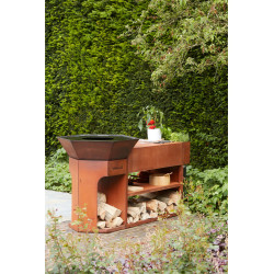 Barbecue au bois Nestor Island BARBECOOK | Barbecook