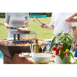 Barbecue au bois Nestor Island BARBECOOK | Barbecook