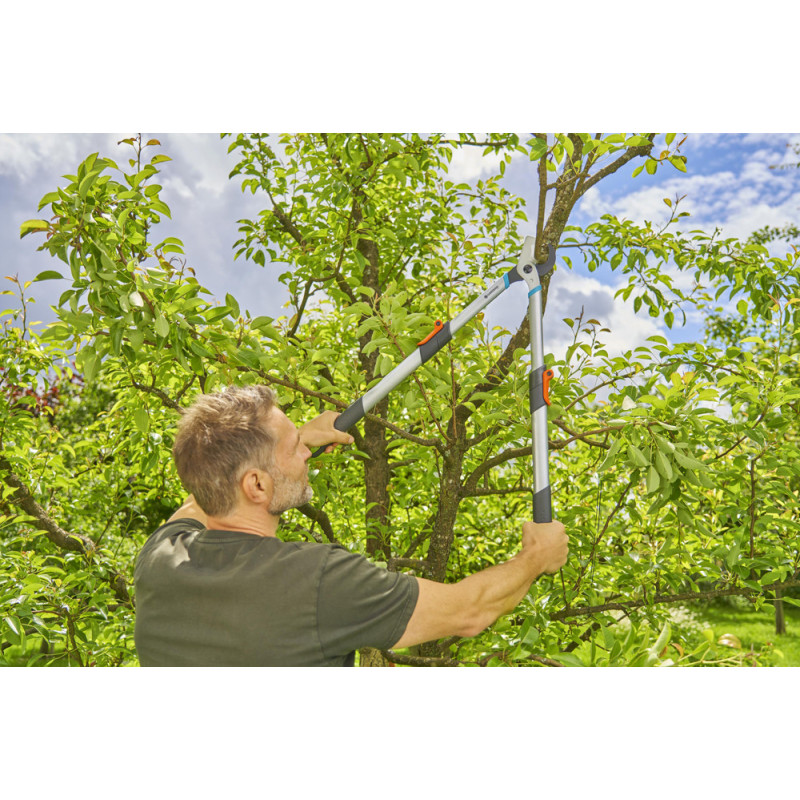 Coupe-branche télescopique Gardena TeleCut Basic Ø 42 mm | GARDENA Coupe-branche télescopique Gardena TeleCut Basic Ø 42 mm | GARDENA