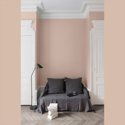 Peinture Murale Velours Rose Nymphéas Mat 0,125L | LIBERON Peinture Murale Velours Rose Nymphéas Mat 0,125L | LIBERON