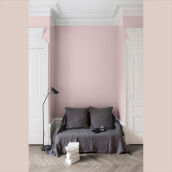 Peinture Murale Rose Pâmoison Mat 0,125L – Finition Velours | LIBERON Peinture Murale Rose Pâmoison Mat 0,125L – Finition Velours | LIBERON