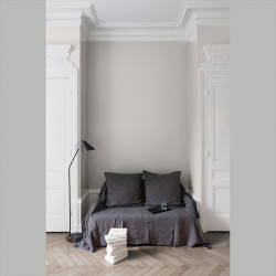 Peinture Murale Velours Gris Sarrazin Mat 0,125L – Finition Douce | LIBERON Peinture Murale Velours Gris Sarrazin Mat 0,125L – Finition Douce | LIBERON