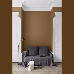 Peinture Murale Velours Bronze Astrolabe Mat | LIBERON Peinture Murale Velours Bronze Astrolabe Mat | LIBERON