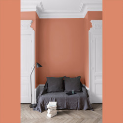 Peinture Velours Terre Cuite Mat 0,125L – Élégance Intemporelle | LIBERON Peinture Velours Terre Cuite Mat 0,125L – Élégance Intemporelle | LIBERON