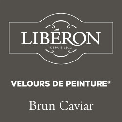 Peinture Murale Brun Caviar Mat 0,5L – Velours | LIBERON Peinture Murale Brun Caviar Mat 0,5L – Velours | LIBERON