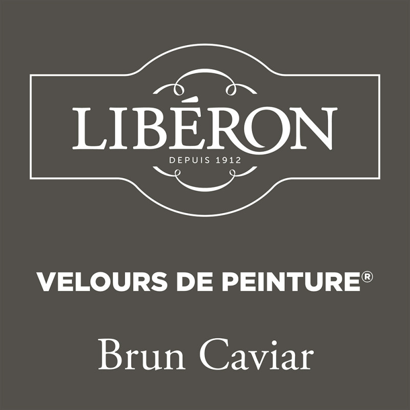 Peinture Murale Brun Caviar Mat 0,5L – Velours | LIBERON Peinture Murale Brun Caviar Mat 0,5L – Velours | LIBERON