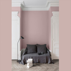 Peinture Murale Rose Bagatelle Mat 0,5L – Velours | LIBERON Peinture Murale Rose Bagatelle Mat 0,5L – Velours | LIBERON