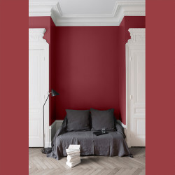Peinture Murale Rouge Odéon Mat 0,5L – Velours | LIBERON
 Peinture Murale Rouge Odéon Mat 0,5L – Velours | LIBERON