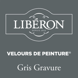 Peinture Murale Velours Gris Gravure Mat 0,5L – Finition Soie | LIBERON Peinture Murale Velours Gris Gravure Mat 0,5L – Finition Soie | LIBERON
