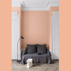Peinture Velours Grès Rose Mat 0,5L – Finition Douce | LIBERON Peinture Velours Grès Rose Mat 0,5L – Finition Douce | LIBERON