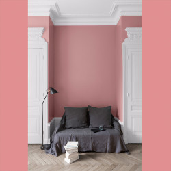 Peinture Murale Rose de Mai Mat 0,5L – Finition Velours | LIBERON Peinture Murale Rose de Mai Mat 0,5L – Finition Velours | LIBERON