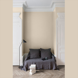 Peinture Murale Camomille Mat 2,5L – Finition Velours | LIBERON Peinture Murale Camomille Mat 2,5L – Finition Velours | LIBERON