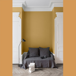 Peinture Murale Jaune Calisson Mat 2,5L – Finition Velours | LIBERON Peinture Murale Jaune Calisson Mat 2,5L – Finition Velours | LIBERON