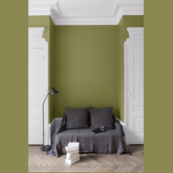 Peinture Murale Velours Vert Herbarium Mat 2,5L – Finition Soignée | LIBERON Peinture Murale Velours Vert Herbarium Mat 2,5L – Finition Soignée | LIBERON