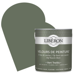 Peinture Murale Velours Vert Mat 2,5L – Finition Soignée | LIBERON