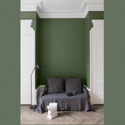 Peinture Murale Velours Vert Mat 2,5L – Finition Soignée | LIBERON Peinture Murale Velours Vert Mat 2,5L – Finition Soignée | LIBERON