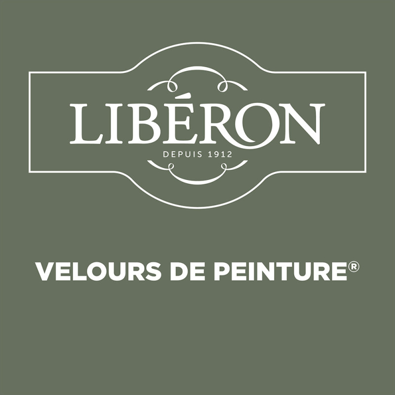 Peinture Murale Velours Vert Mat 2,5L – Finition Soignée | LIBERON Peinture Murale Velours Vert Mat 2,5L – Finition Soignée | LIBERON