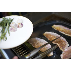 Plancha Céramique GBS WEBER – Cuisson Parfaite | WEBER

