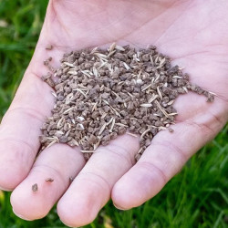 Semences GazonMax 4kg ECOSTYLE - Pelouse dense et verte | ECOSTYLE