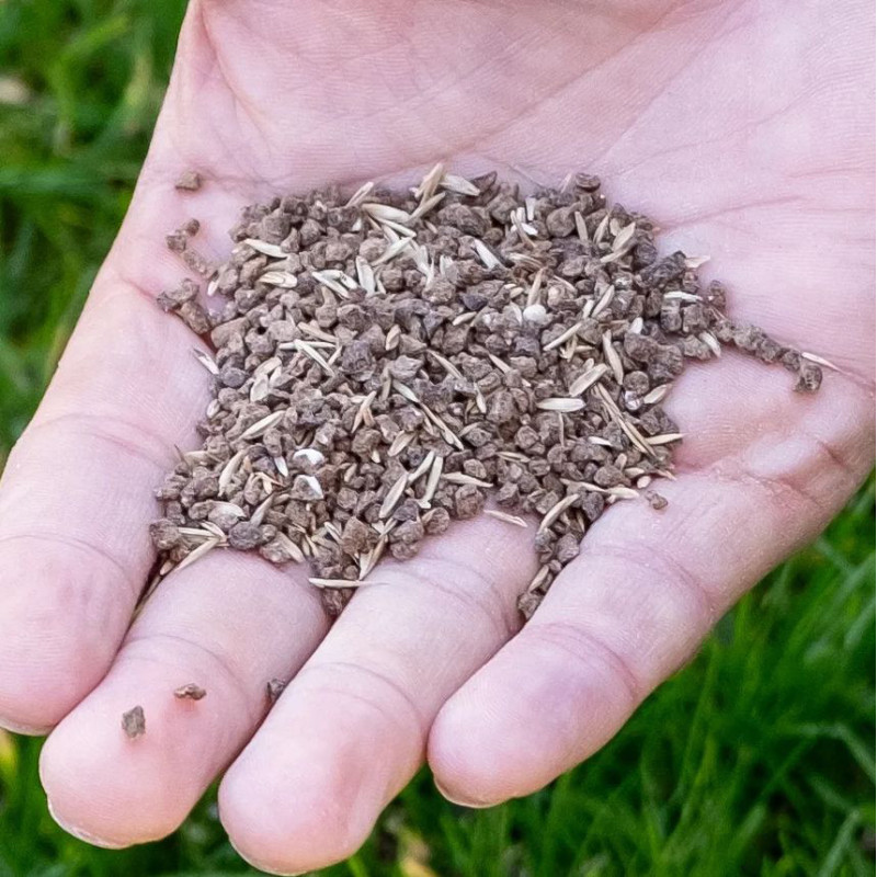 Semences GazonMax 4kg ECOSTYLE - Pelouse dense et verte | ECOSTYLE