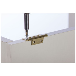Charnière universelle en laiton satiné 50 x 26 mm 2 pièces TEKNIBOX Charnière universelle en laiton satiné 50 x 26 mm 2 pièces TEKNIBOX