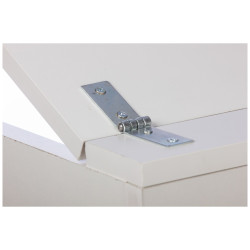 Charnière de coffre en acier zingué 30 x 160 mm TEKNIBOX Charnière de coffre en acier zingué 30 x 160 mm TEKNIBOX