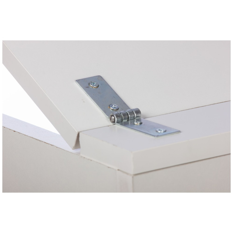 Charnière de coffre en acier zingué 30 x 160 mm TEKNIBOX Charnière de coffre en acier zingué 30 x 160 mm TEKNIBOX
