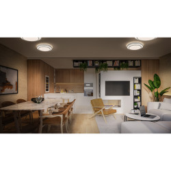 Plafonnier LED Berlin argent 4700 lm 36 W LEDVANCE Plafonnier LED Berlin argent 4700 lm 36 W LEDVANCE