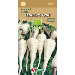 Semences de panais Tender & True Bio SOMERS