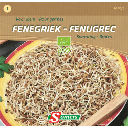 Semences de germes Fenugrec Bio SOMERS