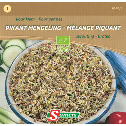 Semences de germes Mélange Piquant Bio SOMERS
