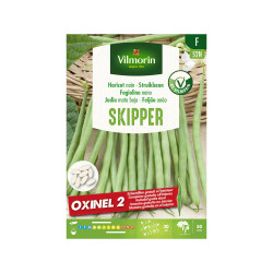 Semences de haricot nain Skipper + Oxinel 2 100 g VILMORIN