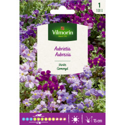 Semences d'aubriétia variée VILMORIN